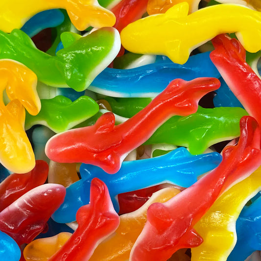 Jelly Sharks*